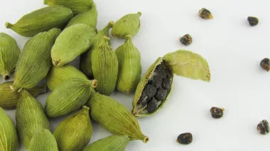 garnishing-instructions-image